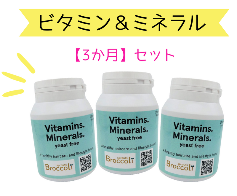 【３か月セット】ビタミン+ミネラル